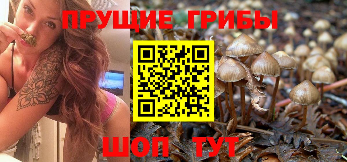 Галлюциногенные грибы ЛСД Кулебаки