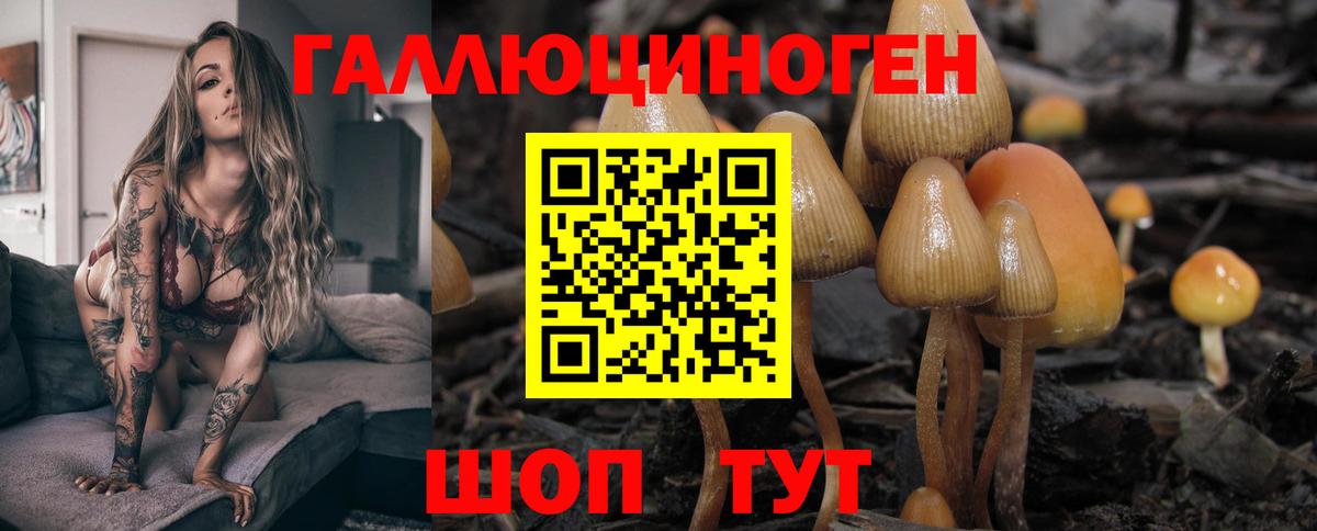 Псилоцибиновые грибы Magic Shrooms  Вход с VPN  Кулебаки 